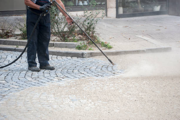 Best Sidewalk and Walkway Cleaning  in Daytona Beach, FL